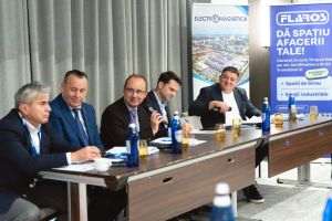 Argument pentru Energie: România are proiecte de peste 3.500 MW în autorizare, dar investiţiile în reţele rămân esenţiale